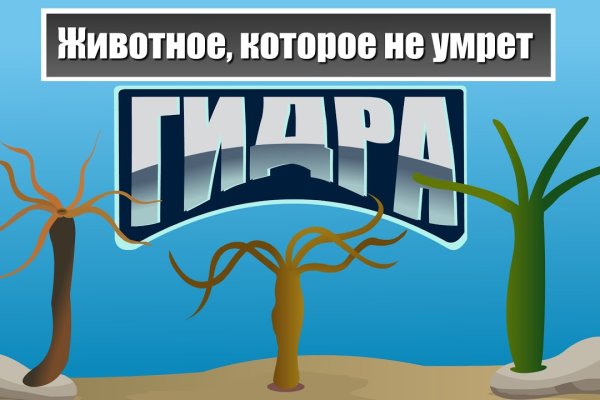 Кракен даркнет тг
