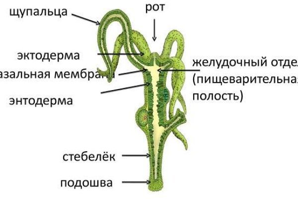 Кракен маркет даркнет только через тор скачать
