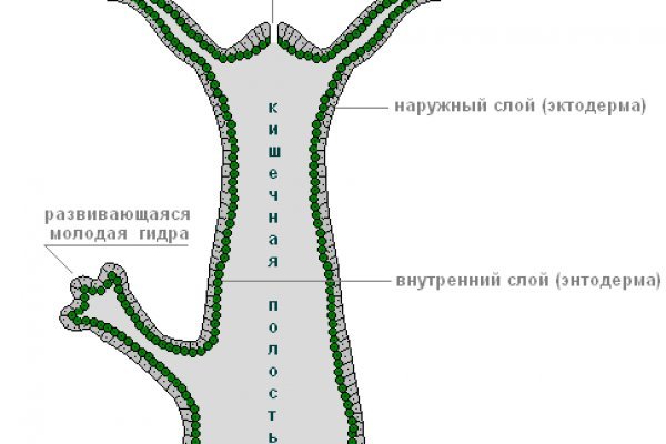 Кракен даркен