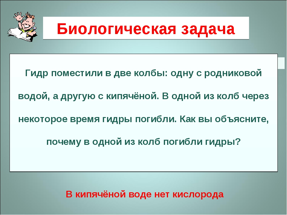 Кракен даркнет только через