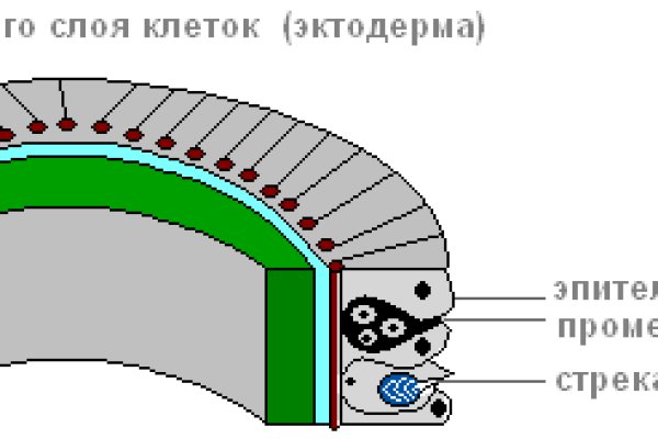 Ошибка на сервере кракен