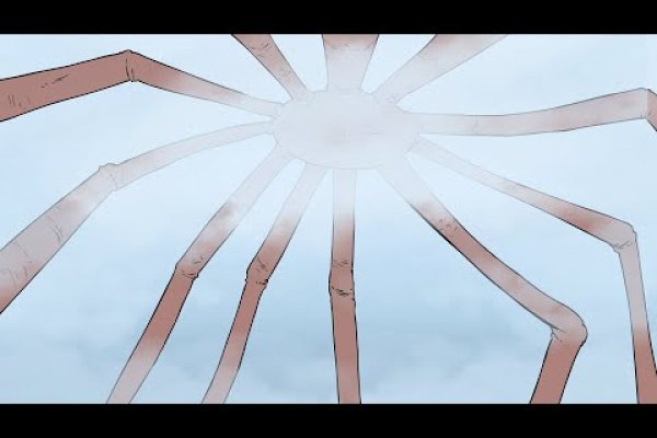 Kraken 17at