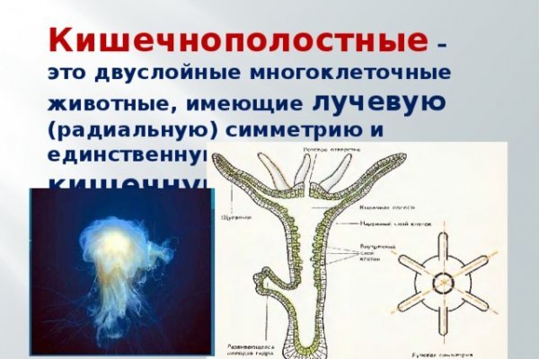 Кракен сайт дарк нет
