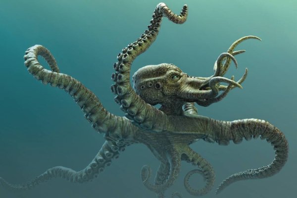 Ссылка кракен kraken torion net