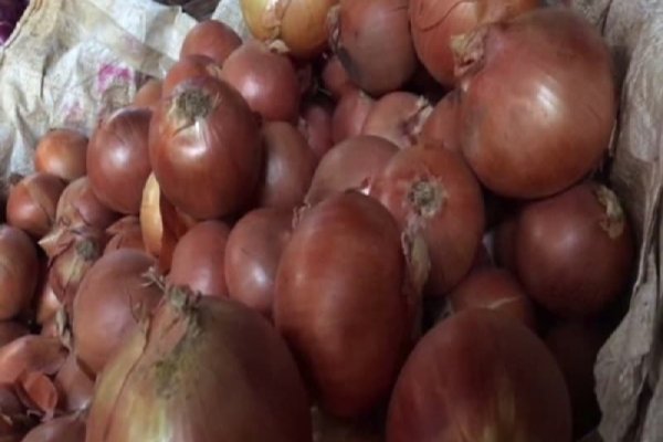 Kraken ссылка на сайт актуальная
