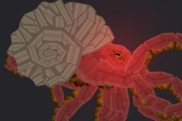 Kraken krn