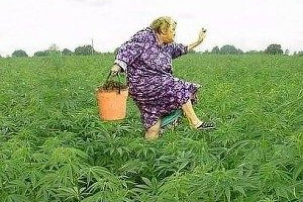 Кракен сайт что это