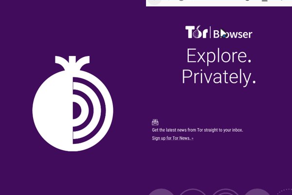 Кракен тор krakendark krakendark link