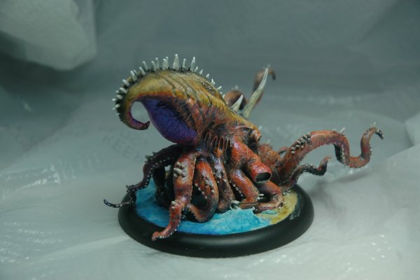 Kraken 24 at